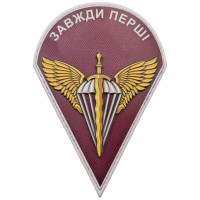 Шеврон ПВХ Купол ДШБ Color