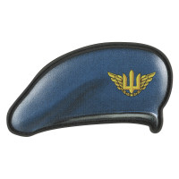 Шеврон ПВХ Загальний Повітряні Сили ЗСУ