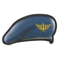Шеврон ПВХ Загальний Повітряні Сили ЗСУ
