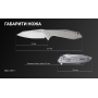 Ніж складаний Ruike P135-SF