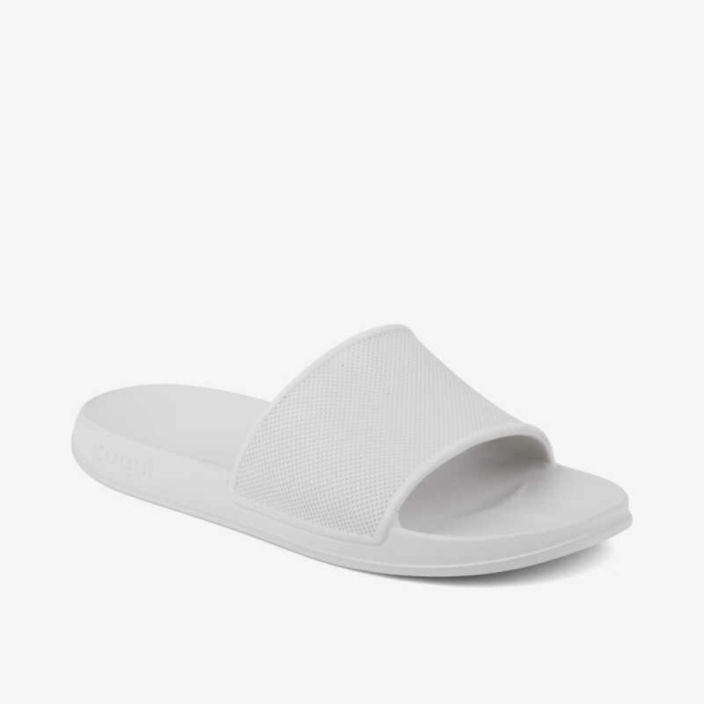 COQUI 7081 Dk. Ivory