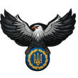 Шеврон ПВХ Орел з Тризубом Grey \ YellowBlue