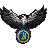 Шеврон ПВХ Орел з Тризубом Grey \ YellowBlue