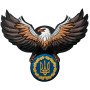 Шеврон ПВХ Орел з Тризубом Brown \ YellowBlue