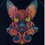Світшот Magic Cat