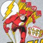 Світшот Flash
