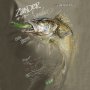 Футболка Dragon Судак Olive