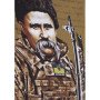 Футболка Бойовий Кобзар Coyote Brown