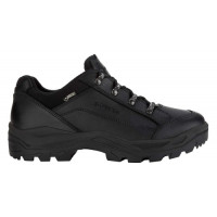 Черевики Lowa RENEGADE II GTX® LO TF (муж.), Black