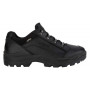 Черевики Lowa RENEGADE II GTX® LO TF (муж.), Black