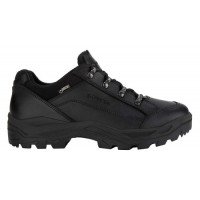 Черевики Lowa RENEGADE II GTX® LO TF (муж.), Black