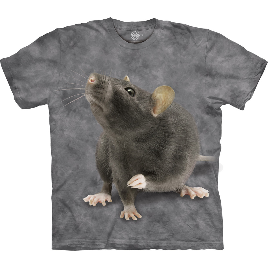 Футболка The Mountain - Curious Rat