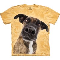 Футболка The Mountain - Curious Terrier