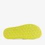 COQUI 7081 CITRUS BTBR