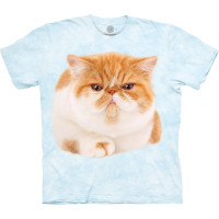 Футболка The Mountain - Round Orange Cat 