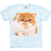 Футболка The Mountain - Round Orange Cat 