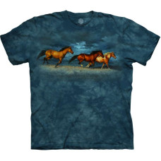 Футболка The Mountain - Thunder Ridge 