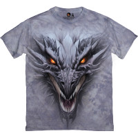 Футболка Dragon Head в сірому