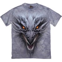 Футболка Dragon Head в сірому