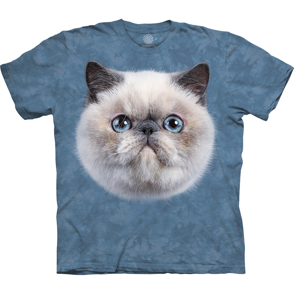 Футболка The Mountain - Blue Point Cat