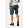 Шорти AVECS Green