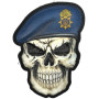Шеврон ПВХ Череп НГУ Gen2