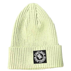Шапка Шеврон-W М'ятна