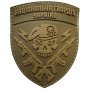 Шеврон ПВХ НГУ Gen2 Coyote