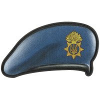 Шеврон ПВХ Берет НГУ