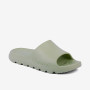 COQUI 7042 Linden Green