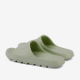 COQUI 7042 Linden Green