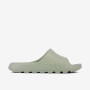 COQUI 7042 Linden Green