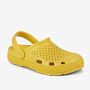 COQUI 6413 Mustard